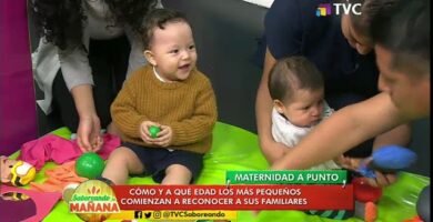¿Cuando un bebé empieza a reconocer a su madre?