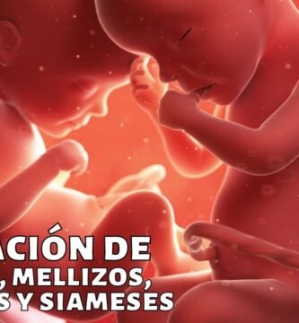 ¿Cuántas generaciones se saltan los gemelos?