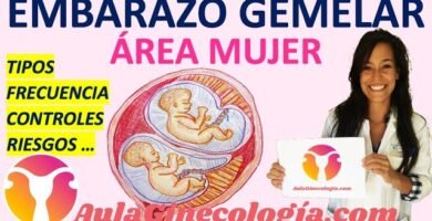 ¿Cuántas placentas hay en un embarazo de gemelos?