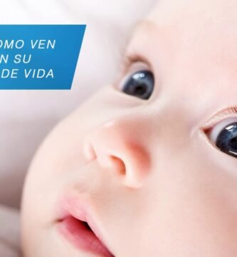 ¿Qué edad ven los bebés?