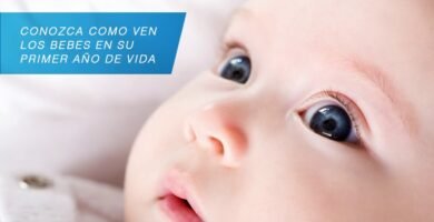 ¿Qué edad ven los bebés?