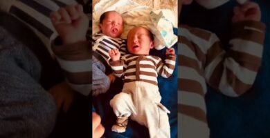 Cómo establecer horarios con gemelos recién nacidos