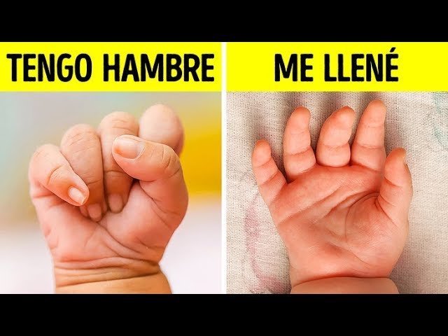 Curiosidades sobre el primeras palabras del bebé