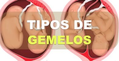 Gemelos idénticos vs. fraternos: diferencias en el desarrollo