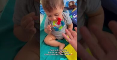 Recomendaciones de expertos para consejos para viajar en autobús con bebés recién nacidos