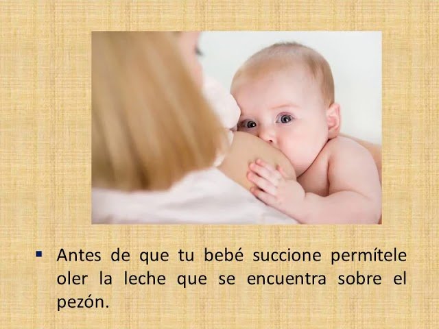 Cómo estimular el sentido del olfato en recién nacidos en casa