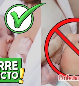 Cómo amamantar a un recién nacido correctamente
