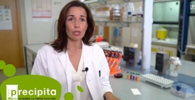 Cómo reconocer una infección en un recién nacido