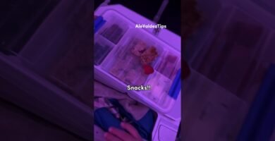 ¿Qué considerar al cómo organizar un roadtrip con un bebé?