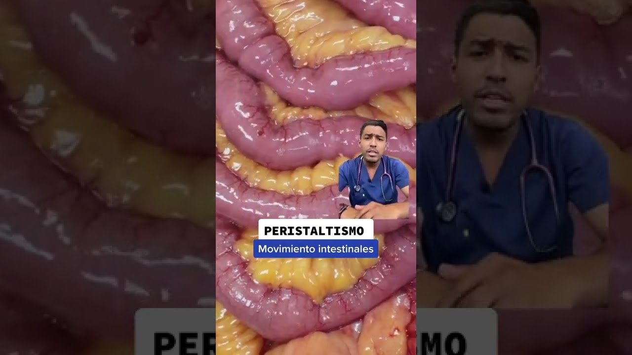 Cómo estimular el maduración del sistema digestivo en casa