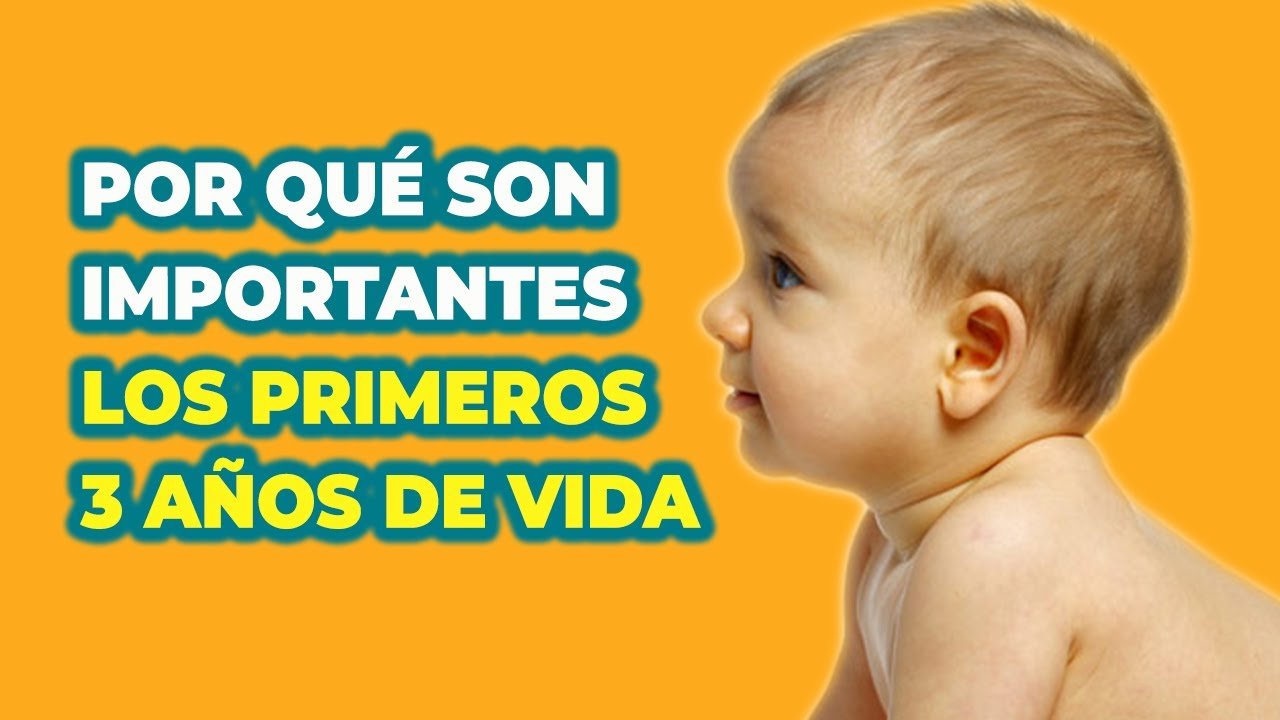 Importancia del formación de recuerdos tempranos durante el primer año