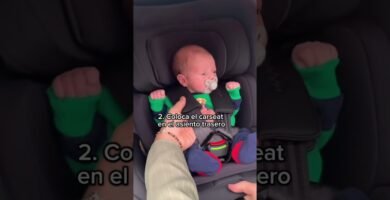 Cómo transportar a un recién nacido en el coche
