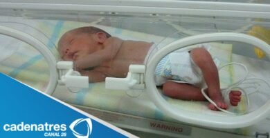 Mitos y verdades sobre cuidados especiales al viajar con bebés prematuros